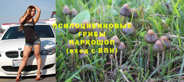 гашик Армянск