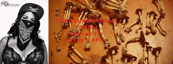 гашик Армянск